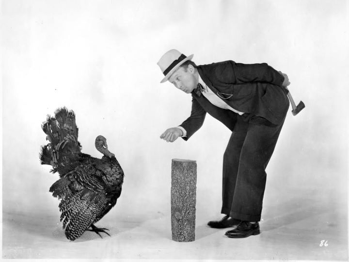 Vous êtes les dindons de la farce